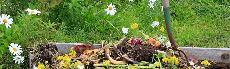 Waarom is het goed compost te verzamelen?