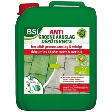 BSI Anti Groene Aanslag 5 liter