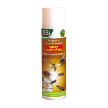 Spray Insecticide Insectes Volants & Rampants BSI 500 ml